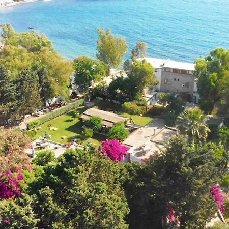 Myndos Bed & Breakfast Бодрум Екстер'єр фото