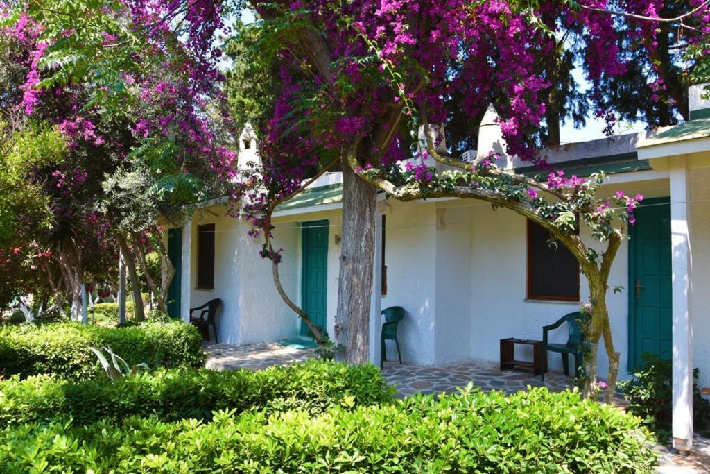 Myndos Bed & Breakfast Бодрум Екстер'єр фото